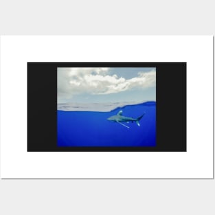 An Oceanic White Tip Shark Cruising Under the Clouds in the Bahamas Posters and Art